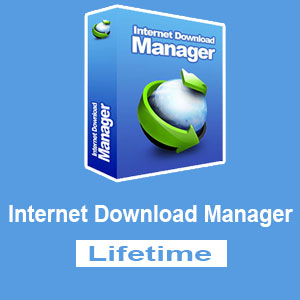 idm software